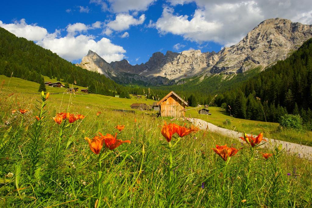 Relais San Giusto Hotel Campitello di Fassa Luaran gambar